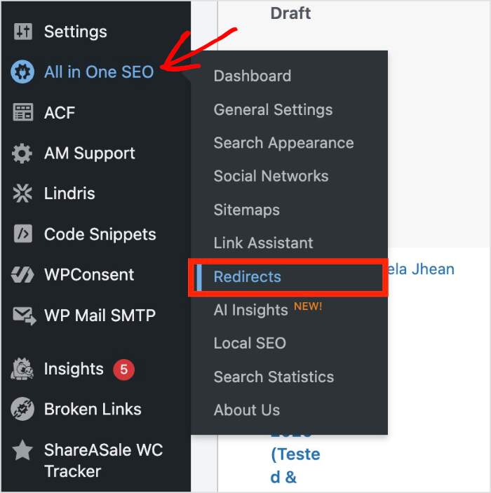 Redirects in the All in One SEO menu of WordPress.
