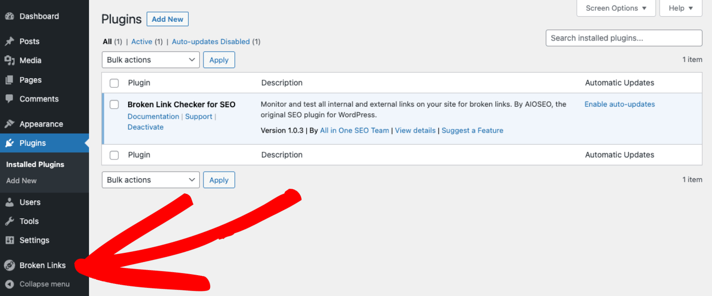 Broken Links menu item shown in the WordPress menu