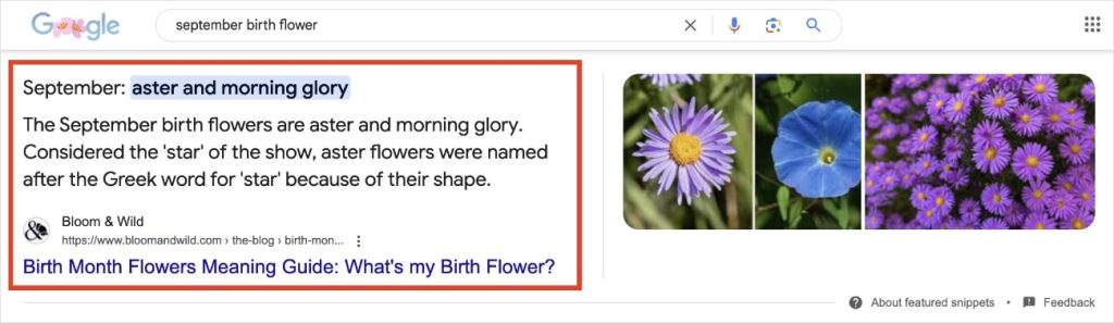 Bloom & Wild appears as a featured snippet in Google.