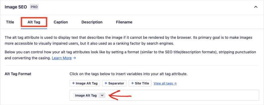 Image SEO settings can generate alt tags automatically.