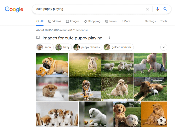 Example of a Google image search of cute puppy playing