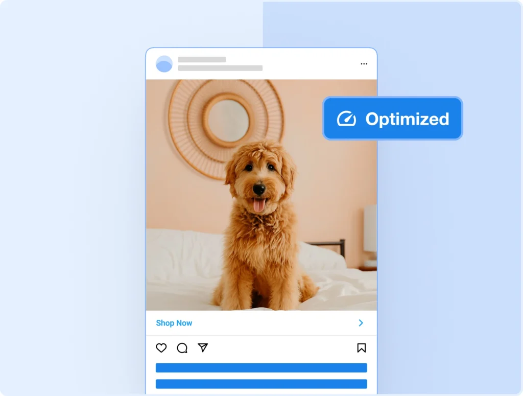 View social previews directly from WordPress.